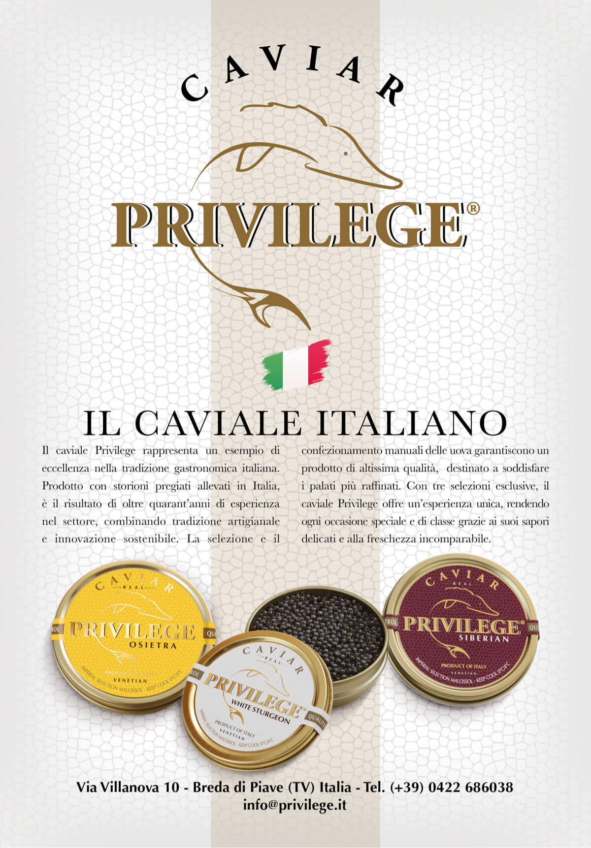 Privilege Venezia